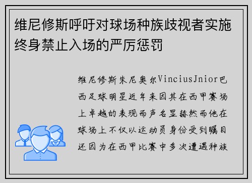 维尼修斯呼吁对球场种族歧视者实施终身禁止入场的严厉惩罚 维尼修斯呼吁对球场种族歧视者实施终身禁止入场的严厉惩罚