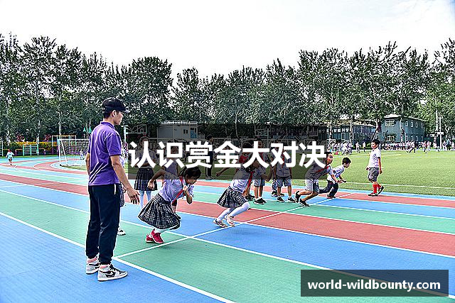 认识赏金大对决